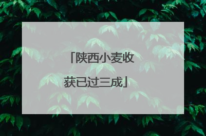 陕西小麦收获已过三成